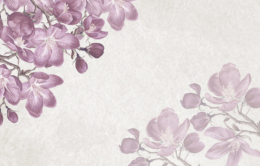 Fiori viola su sfondo bianco