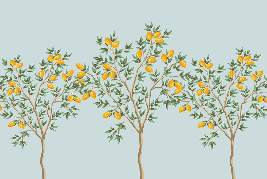 Gruppo di alberi di limone con frutti Gruppo di alberi di limone con frutti