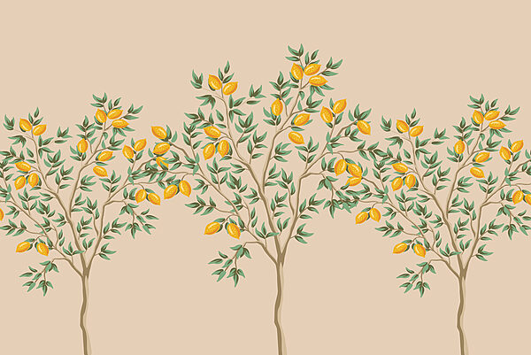 Tree with fruits on it