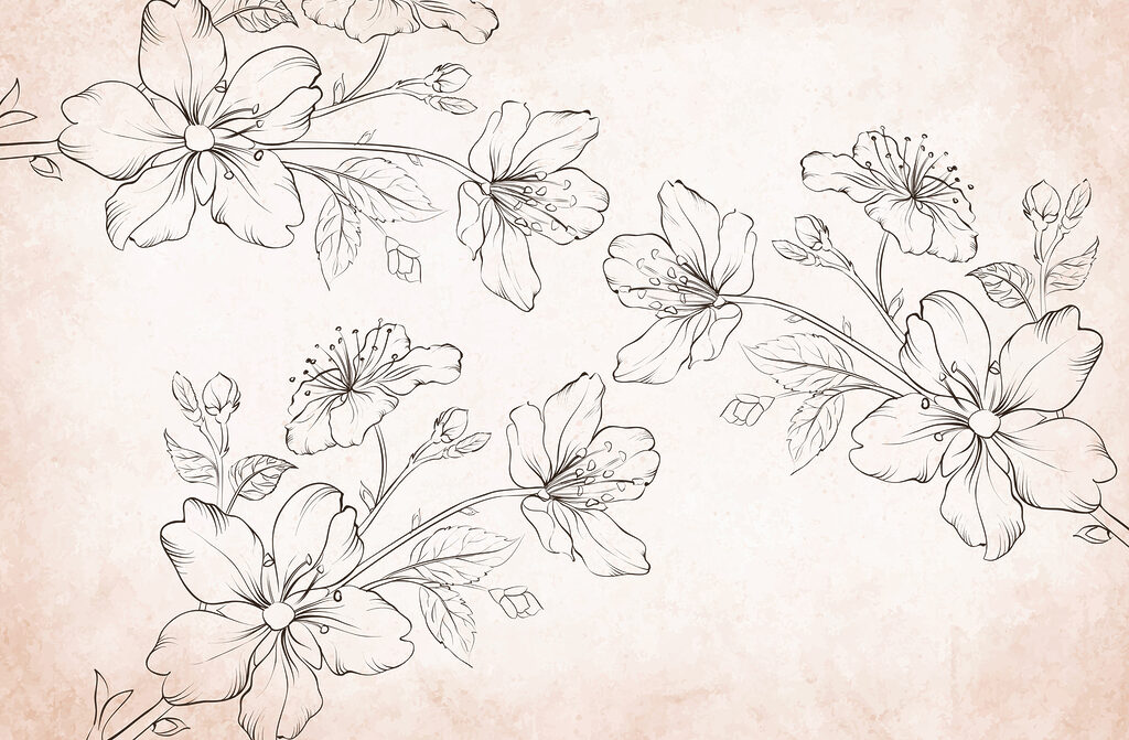 Disegno di fiori su sfondo bianco Disegno di fiori su sfondo bianco