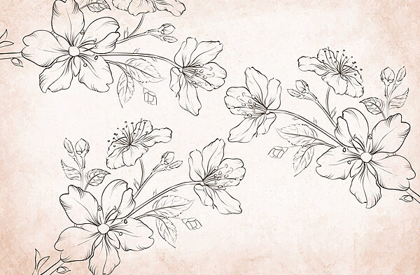 Disegno di fiori su sfondo bianco Disegno di fiori su sfondo bianco