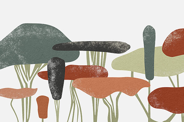 Wall murals Group of trees with different colors Wall murals Group of trees with different colors