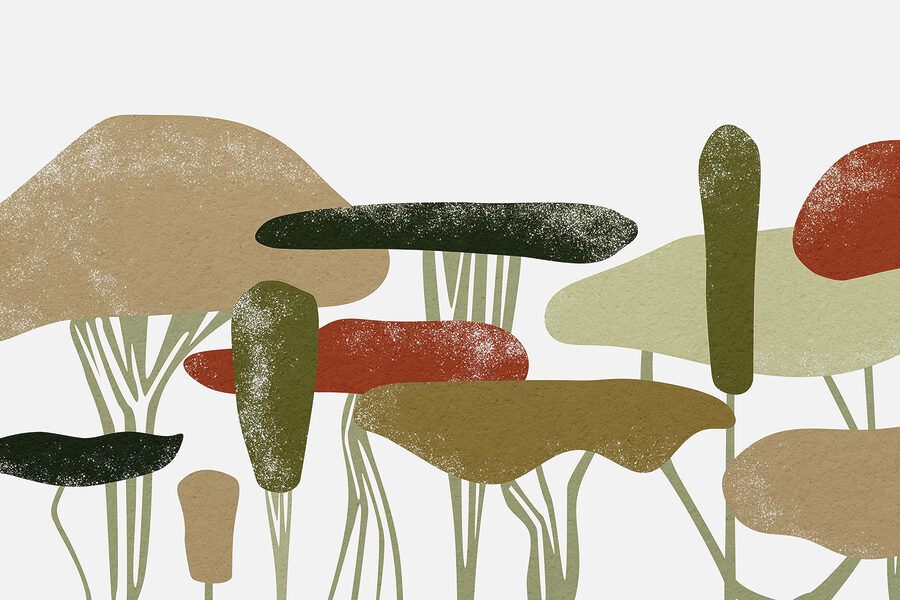 Gruppo di alberi con colori diversi