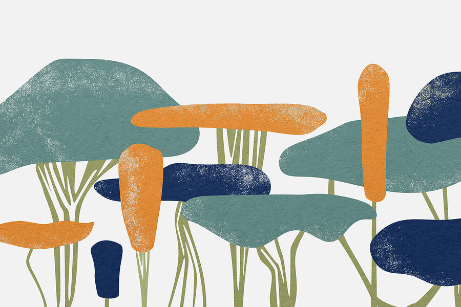 Gruppo di alberi con colori diversi