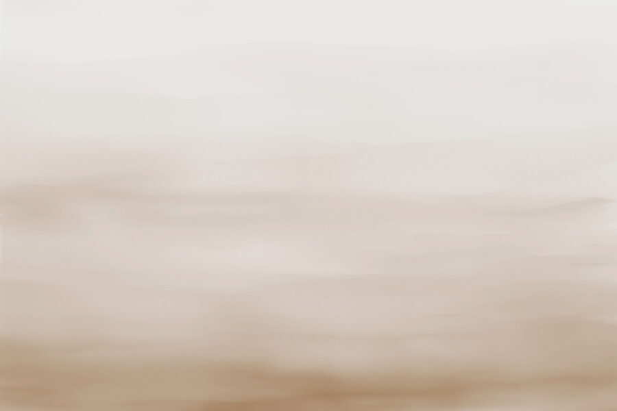 Cielo bianco e marrone