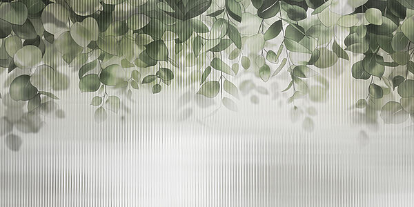 Foglie verdi da una finestra Foglie verdi da una finestra