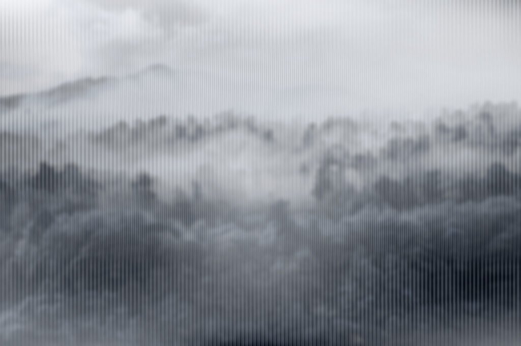 Paesaggio nebbioso con alberi Paesaggio nebbioso con alberi
