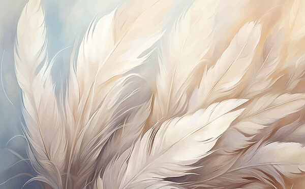 Close up of feathers
