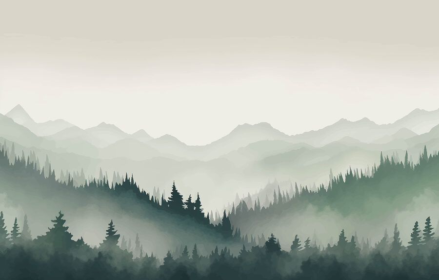 Paesaggio montano nebbioso con alberi e montagne
