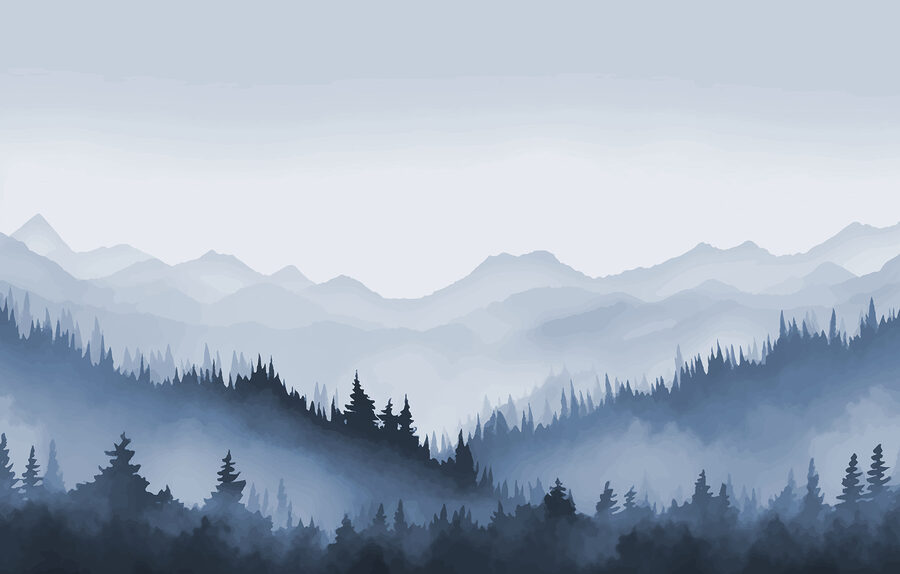 Paesaggio montano nebbioso con alberi e montagne