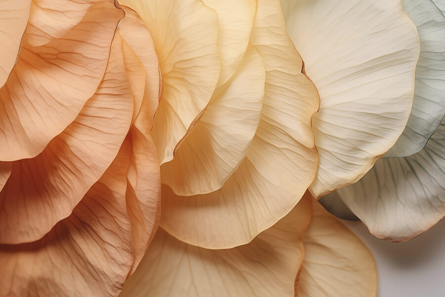 Carta da parati Primo piano di un fiore - immagine 3