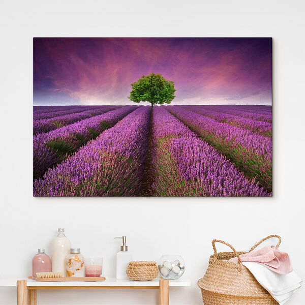 Quadri Quadri Un albero in un campo di lavanda (COD: s05061)