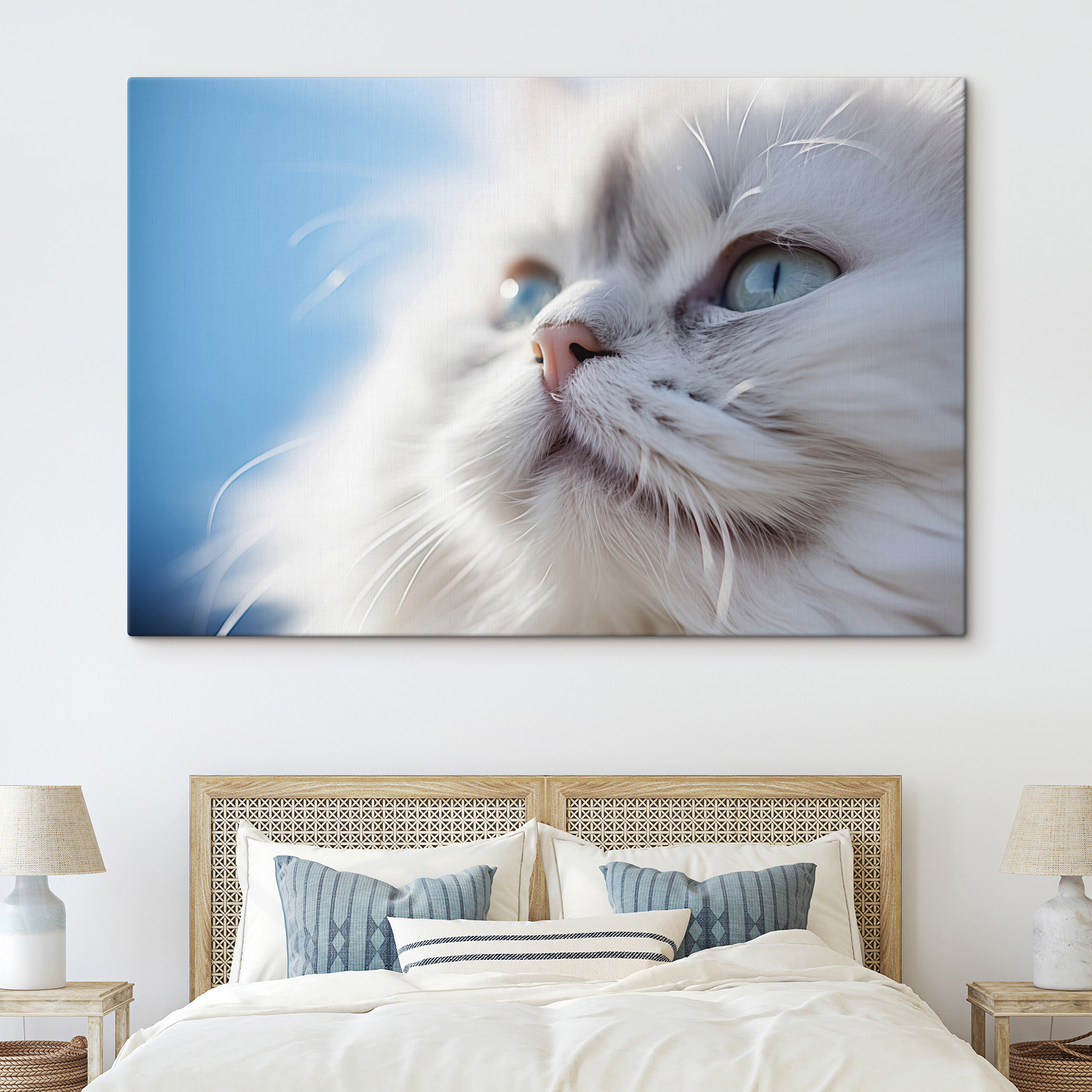 Close up of a cat