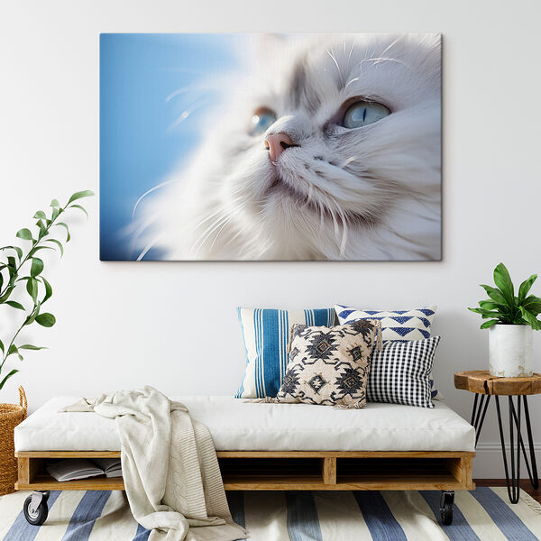Close up of a cat