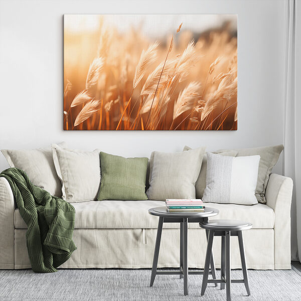 Close up of a field of grass
