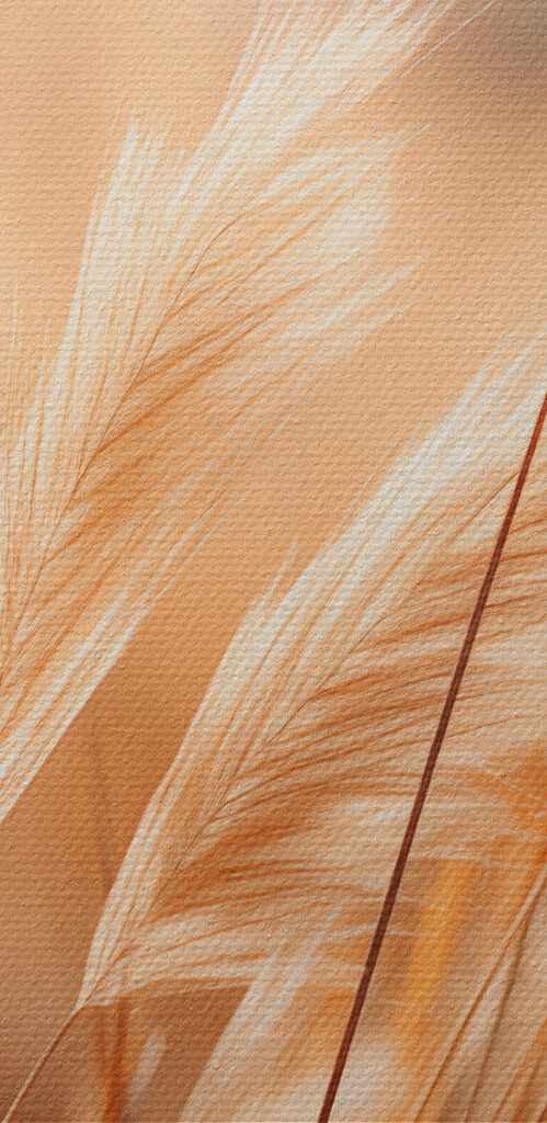 Close up of a field of grass