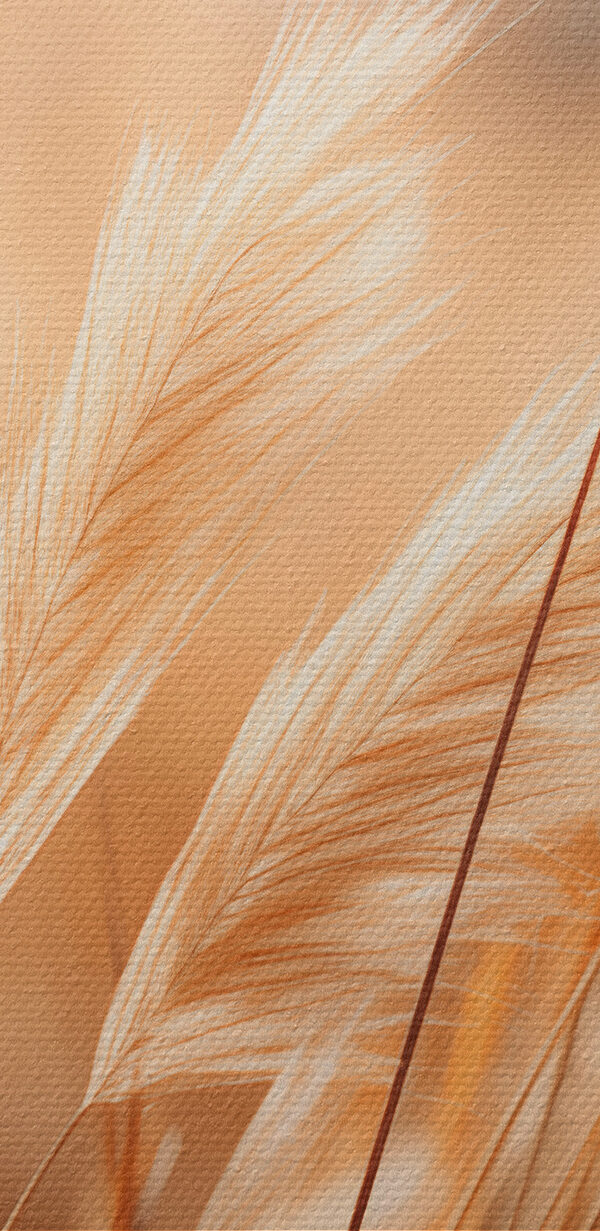 Close up of a field of grass