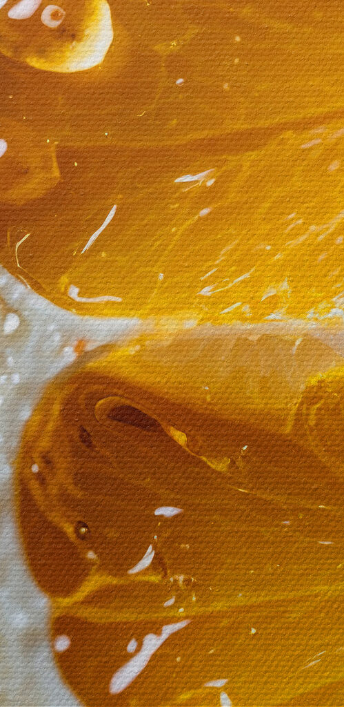 Close up of a slice of orange