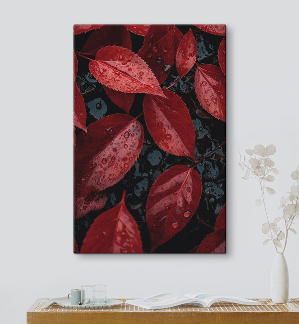 Foglie rosse con goccioline d'acqua Quadri Foglie rosse con goccioline d'acqua