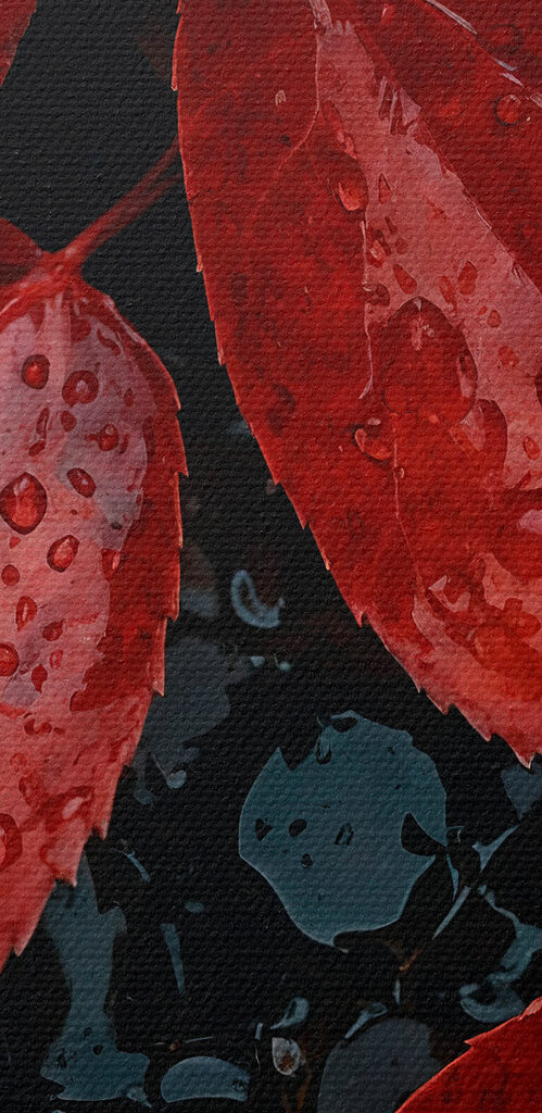 Red leaves with water droplets on them Red leaves with water droplets on them