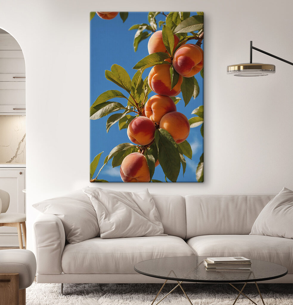 Group of peaches on a tree Group of peaches on a tree