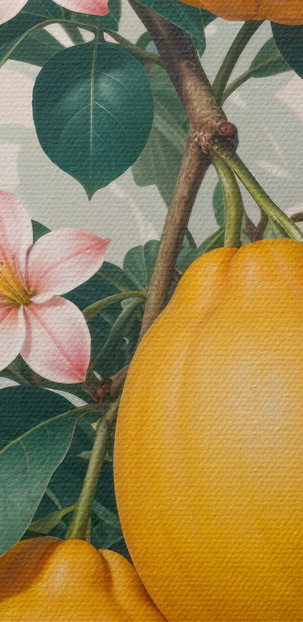 Group of fruit on a plant