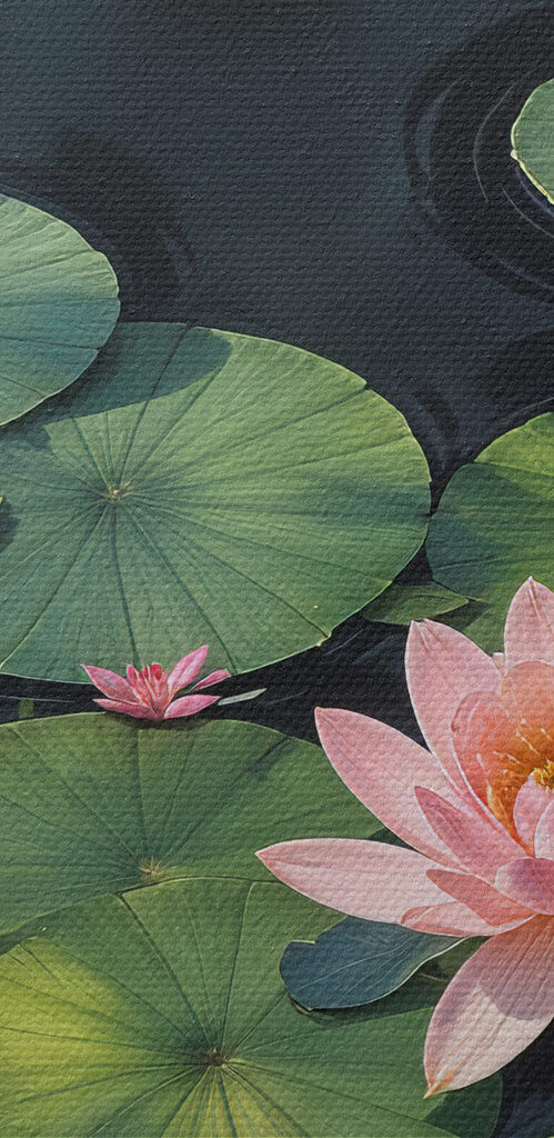 Group of pink flowers and green leaves in a pond Group of pink flowers and green leaves in a pond