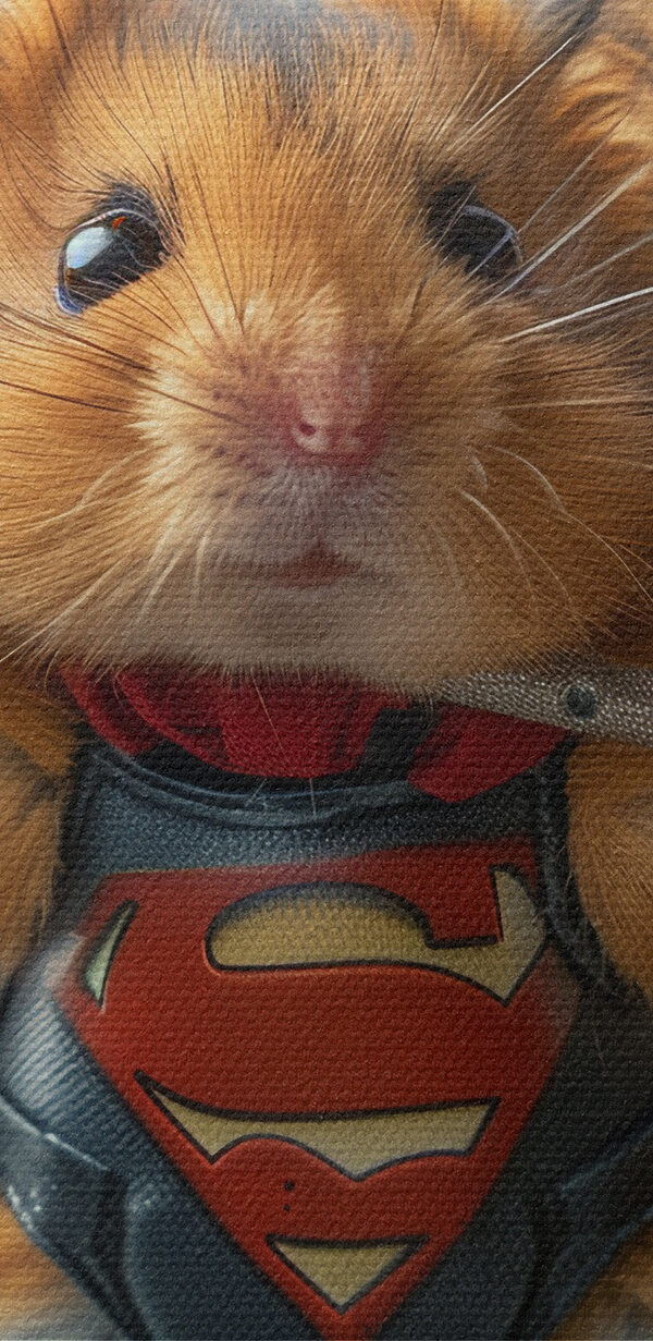 Hamster wearing a superhero garment holding a barbell Hamster wearing a superhero garment holding a barbell