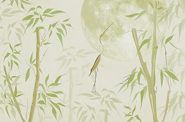 Alberi di bambù e luna Alberi di bambù e luna