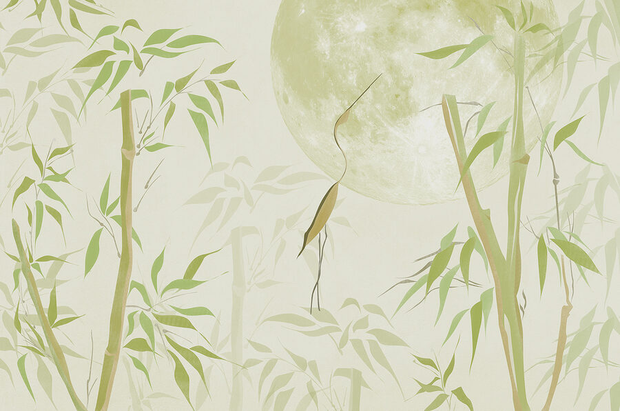 Alberi di bambù e luna Alberi di bambù e luna