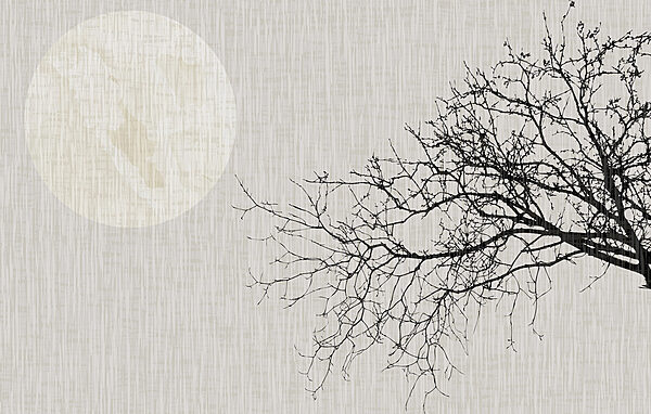 Albero senza foglie Albero senza foglie