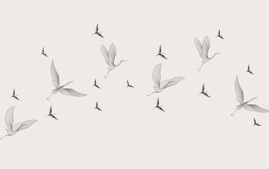 Stormo di uccelli in volo