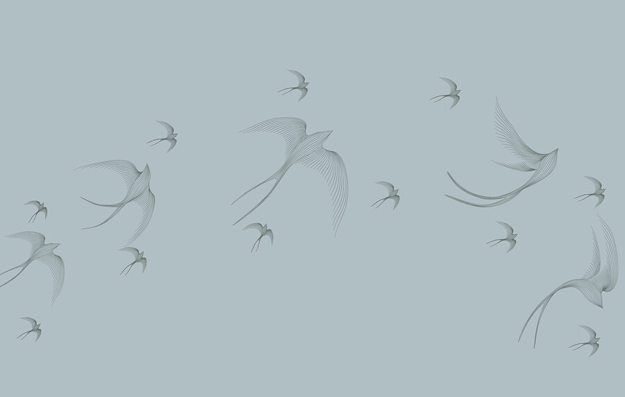 Gruppo di uccelli in volo