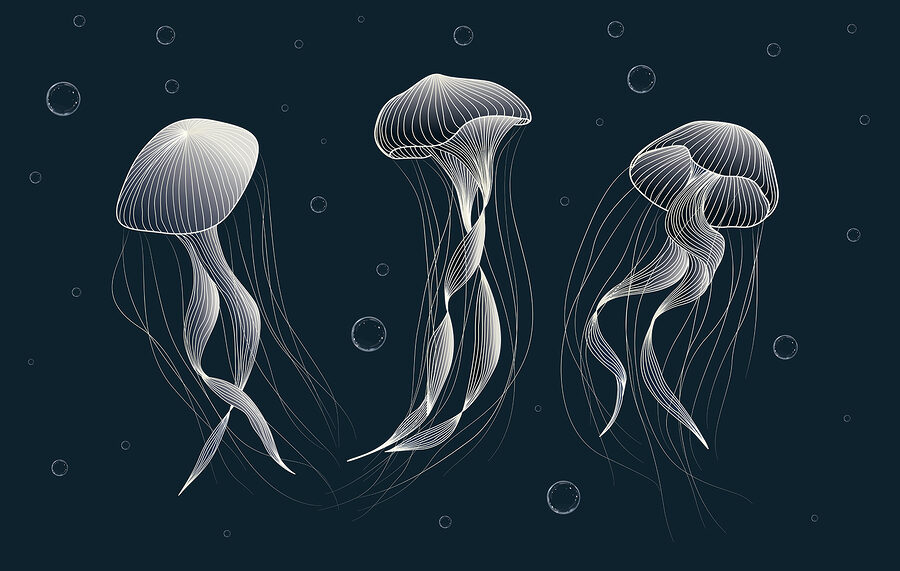 Carta da parati Gruppo di meduse in acqua - immagine 3