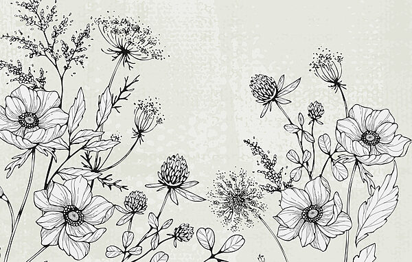 Disegno di fiori e foglie Disegno di fiori e foglie