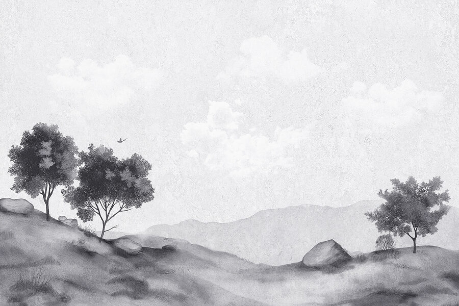 Paesaggio con alberi e rocce