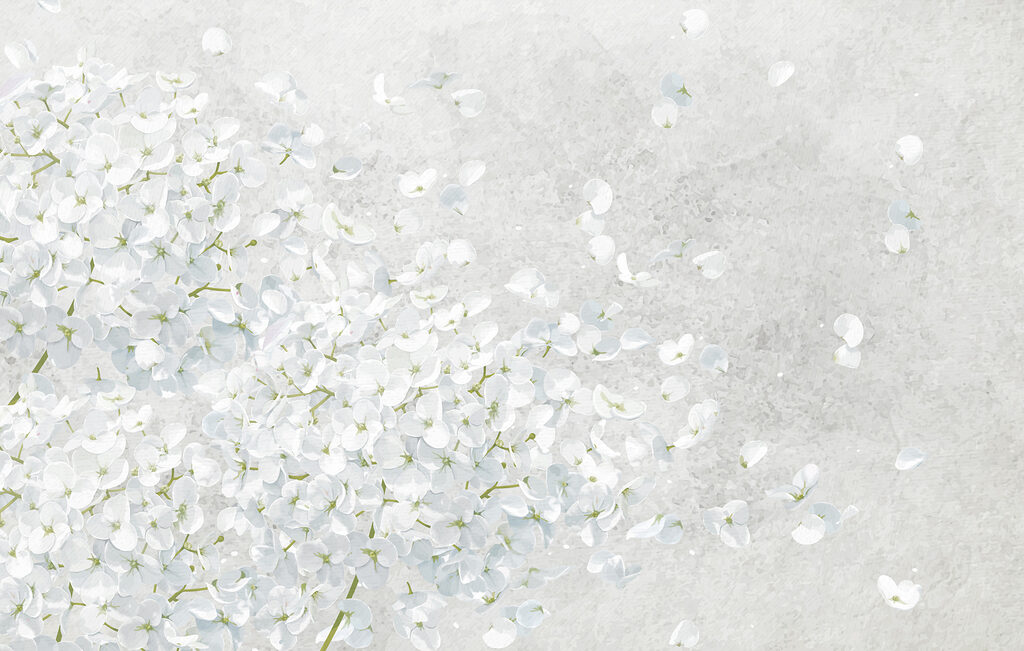 Mazzo di fiori bianchi Mazzo di fiori bianchi