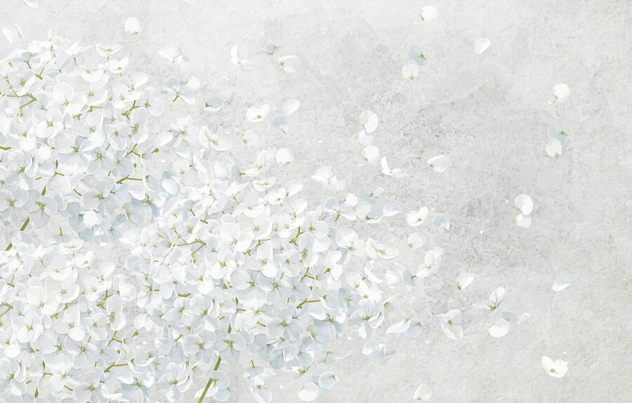 Mazzo di fiori bianchi Mazzo di fiori bianchi