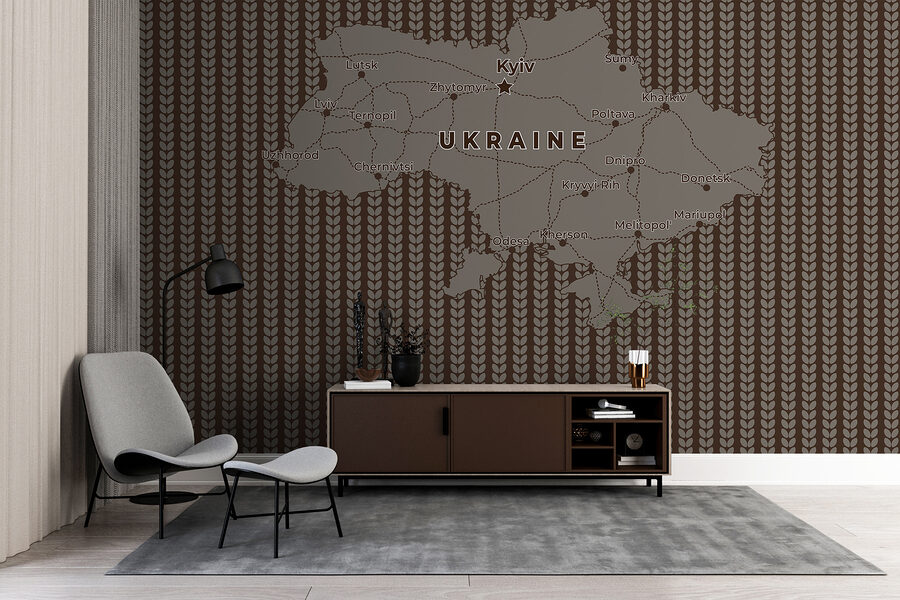 Mappa dell'Ucraina con linee e città