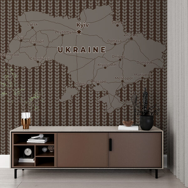 Mappa dell'Ucraina con linee e città Mappa dell'Ucraina con linee e città