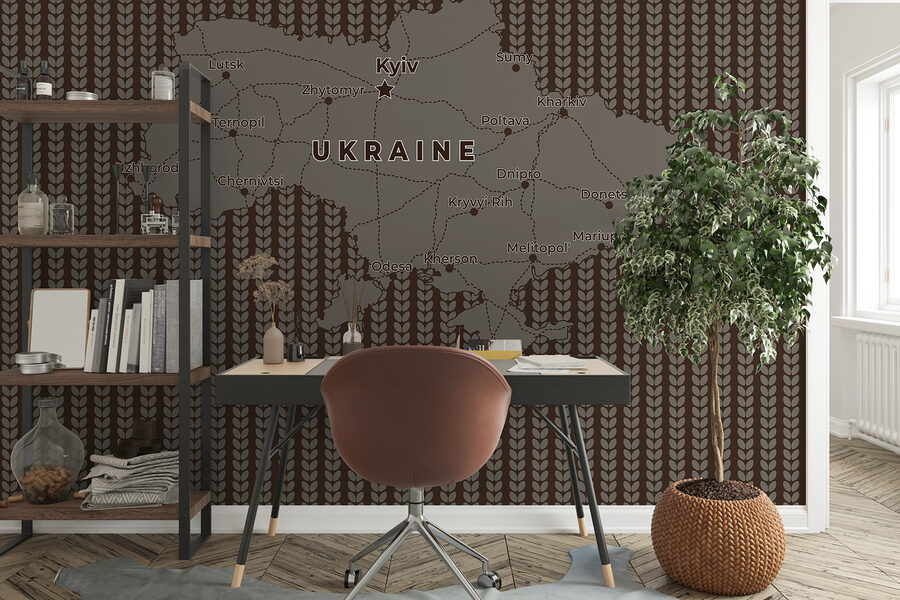 Mappa dell'Ucraina con linee e città