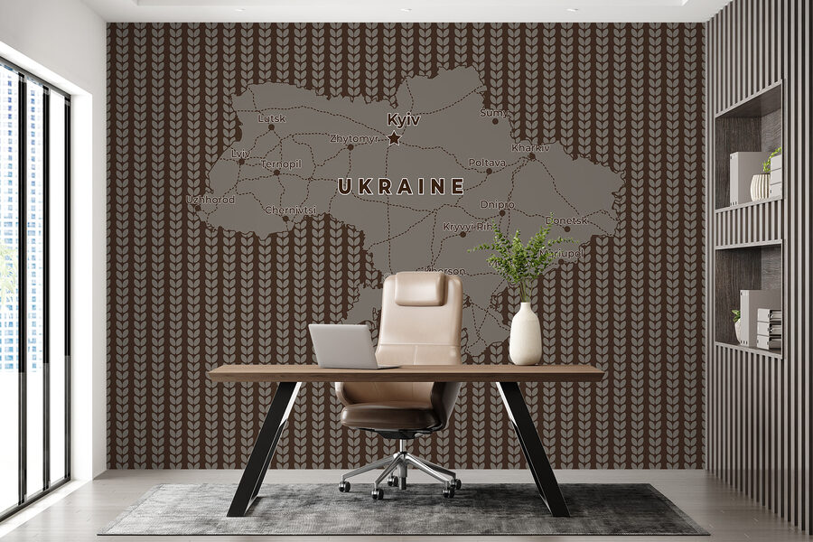 Mappa dell'Ucraina con linee e città