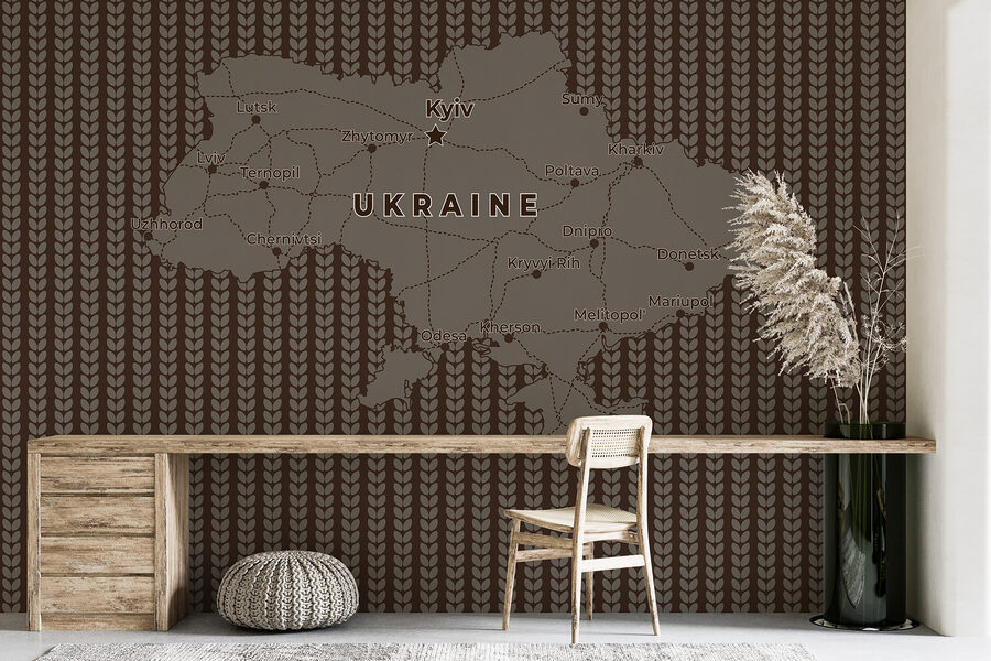 Mappa dell'Ucraina con linee e città
