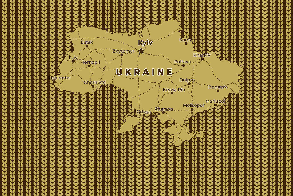 Mappa dell'Ucraina con linee e città Mappa dell'Ucraina con linee e città