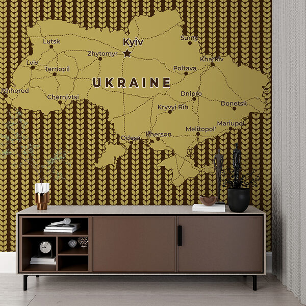 Mappa dell'Ucraina con linee e città Mappa dell'Ucraina con linee e città
