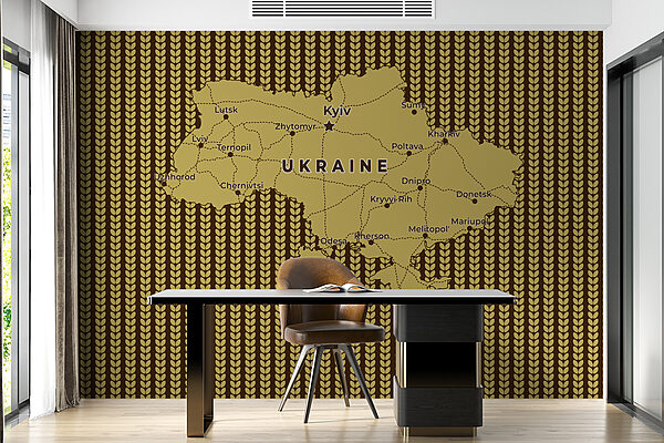 Mappa dell'Ucraina con linee e città Mappa dell'Ucraina con linee e città
