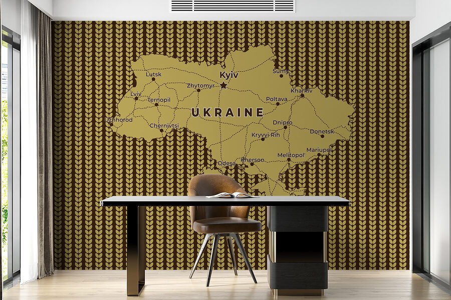 Mappa dell'Ucraina con linee e città