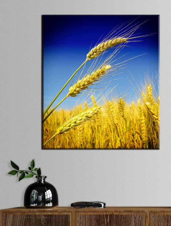 Quadri Primo piano di grano