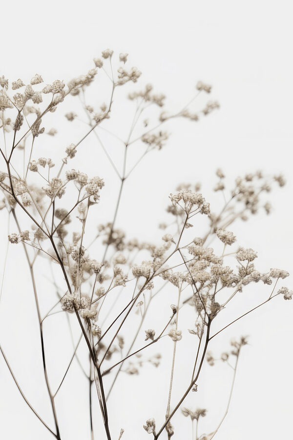Close up of a plant