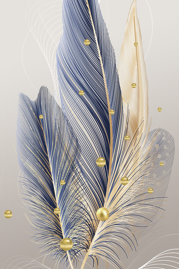 Close up of feathers